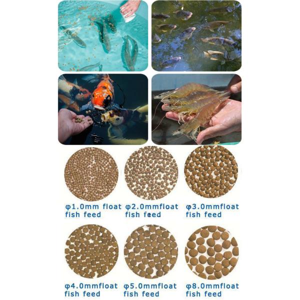 Dry Type Floating Sinking Fish Food Extruder Machine