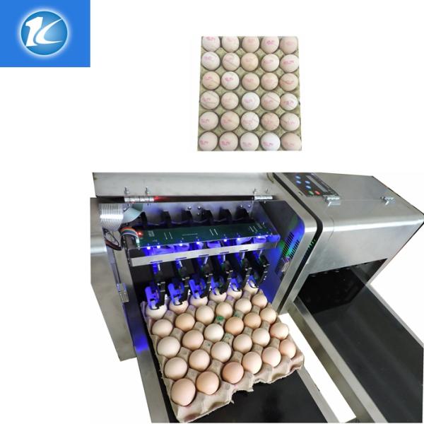 Popular Eggs Number Inkjet Printer With High Resolution For Egg Supplier