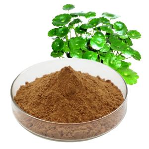 Cheap 90% Gotu Kola Extract Powder Centella Asiatica Extract Asiaticoside for sale