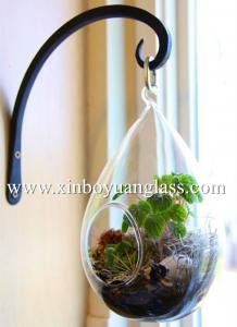 Cheap Teardrop glass terrariums hanging vase Glass Air plant holders for sale