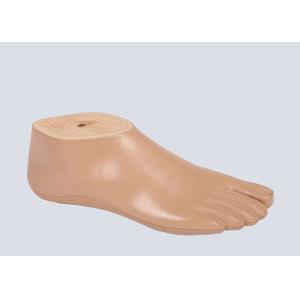 Artificial Sach Prosthetic Foot Polyurethane Stainless 12cm-30cm Size