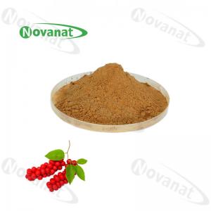 Cheap Water Extract Schisandra Extract 1%-5% Schisandrins Schisandrol A Schisandrol B for sale