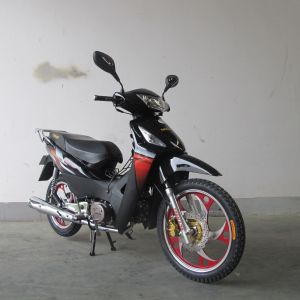 Cheap TR135B-IIID 135 cc Cub Motorcycle for sale