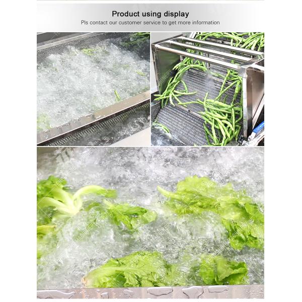 Bubble Vegetable Washing Machine Fruit Orange Vegetable Leaves Vegetables Herbs production Destoning Wash Washer Washing Cleaning