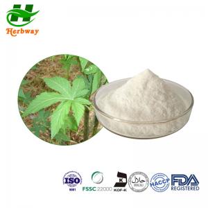 Cheap ISO Sweetener Powder Sweet Tea Extract  70%-85% Rubusoside For Food Addtive for sale