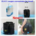 Use in the car,use outside,1L mini portable oxygen concentrator with battery