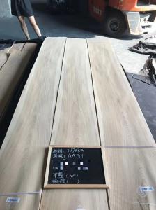 Cheap Crown Cut White Oak Wood Veneer 15cm Width For Fancy Plywood for sale