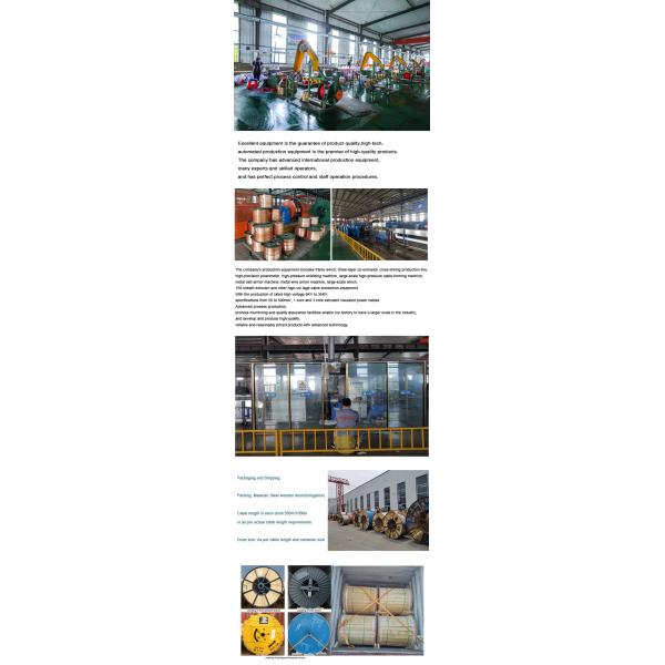 2.5mm 4mm 10mm Copper Wire Cable with Low Voltage and Durable Copper Conductor Material