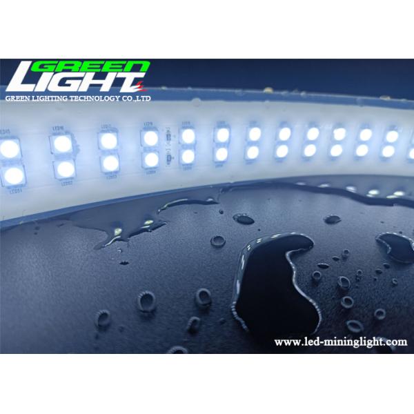 SMD2835 AC110V LED Neon Strip Lights White Color Silicone Double Row