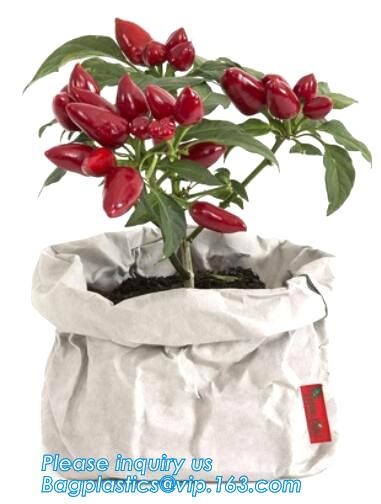 Soft Envelope Tyvek Clutch Bag, Dupont Cosmetic Makeup Bag with Handle Waterproof Creative Dupont Paper Tyvek Clutch Pur