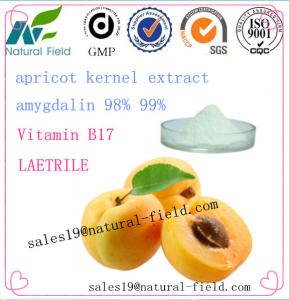 Cheap direct manufacturer bitter apricot seed amygdalin powder vitamin b17 for sale