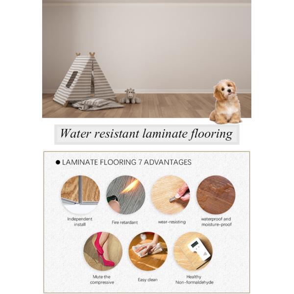 Fireproof Water Resistant Laminate Flooring In Kitchen Eco Friendly
