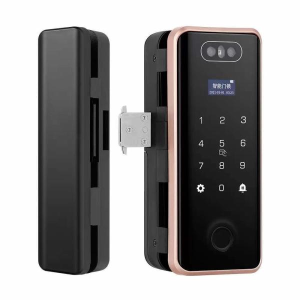 Quality Villa Face Id Smart Lock ROHS Automatic Door Lock For Apartment wholesale