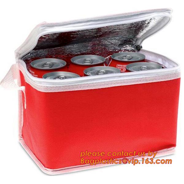 Freezer Bags Color Cold Insulation Waterproof Convenient Portable Ice Meal Packages Refrigerator Cooler Lunch Bag bageas