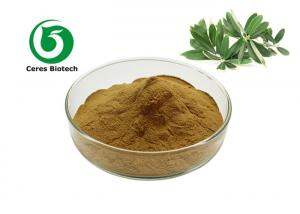 China Natural Herbal 10% - 80% Olive Leaf Extract Powder Oleuropein on sale