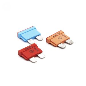 Cheap 80V Standard Car Auto Fuse for sale