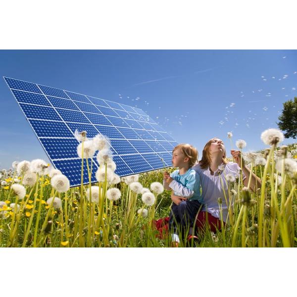 120 V Photovoltaic Silicon Solar Panels Impact Resistance Long Life Span