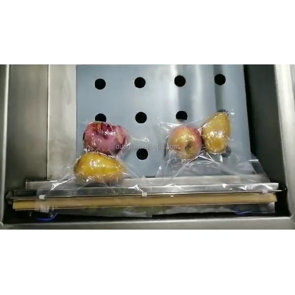 Packer for Vegetables Fruits Meat Keep Fresh Electrical Control Microcomputer Program
