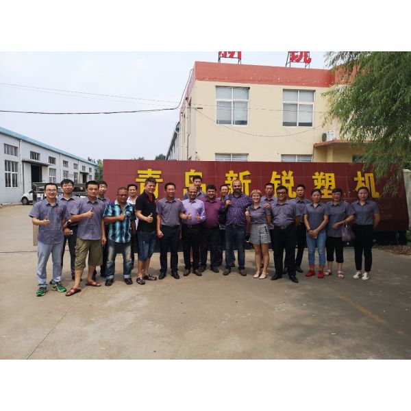 CE 380V Waterproof WPC Decking Plastic Profile Machine