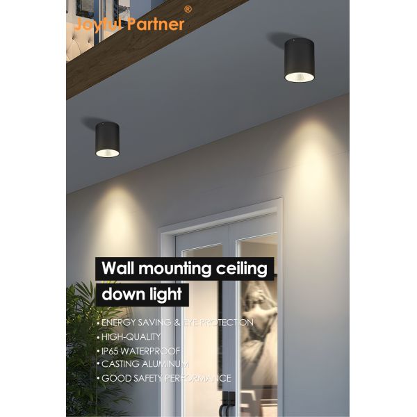 15W COB LED Downlight Cylinder DIA110MM Screw Fix Extruded Aluminum Alloy Housing For Outdoor Application