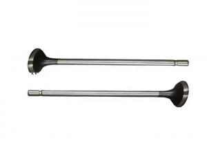 Cheap TS16949 Intake Exhaust Valves Polished Surface Cummins Inlet Valves for sale