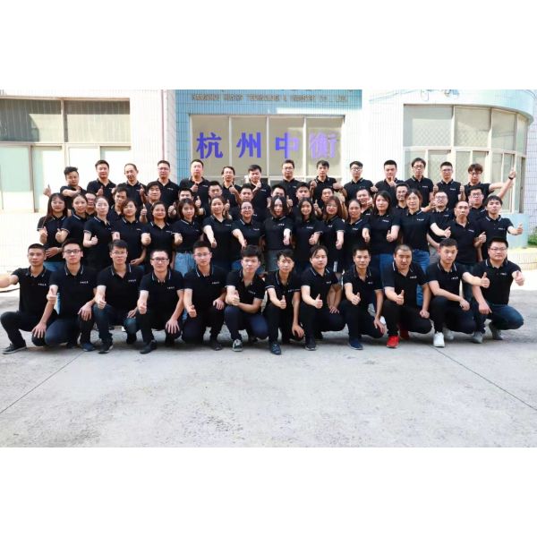 4kg Mirchi Turmeric Powder Packaging Equipment