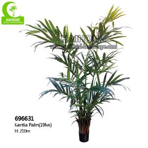 Cheap H210cm Artificial Tropical Tree , Artificial Kentia Palm Tree For Indoor Decoration for sale