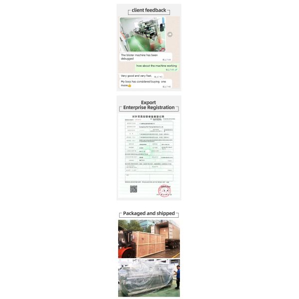 Tablet Capsule Pill Blister Packaging Machine Pharmaceutical Automatic