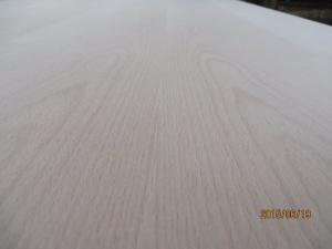 Cheap Europe beech  veneered plywood.Decorative plywood.  veneered plywood.tropical hardwood core for sale