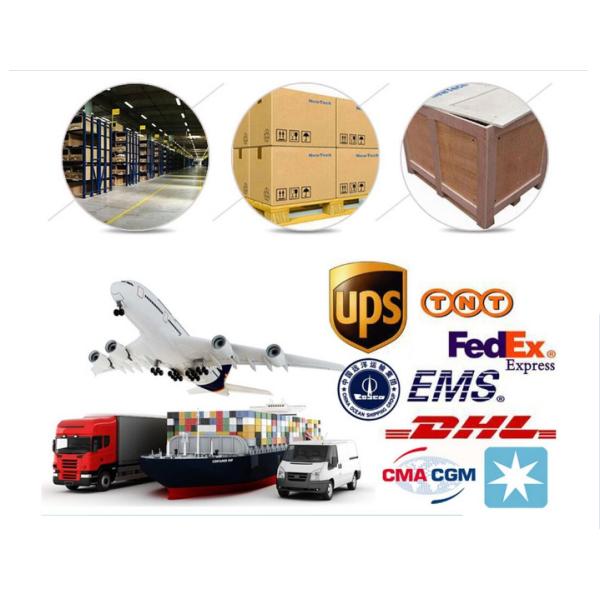 Research Laboratory Biological Microscope 1000X Coarse And Fine Focusing Binocular