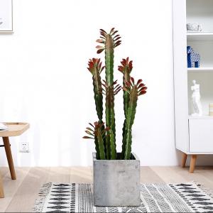Cheap Custom Cactus Ornaments Bonsai Artificial Succulent Plant for sale