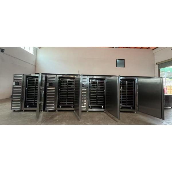 10-12Trays Ultra-Fast Freezing Adjustable Shelves Durable Design Blast Freezer