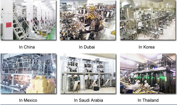 Candy Crisps ZH-V420 Automatic Weighing Packaging Machine