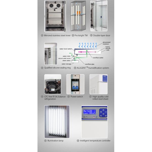 Insect Drosophila Temperature Controlled Chamber 60C Seed Germination Incubator