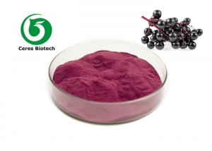 China Antioxidant Anthocyanin Elderberry Extract Powder on sale