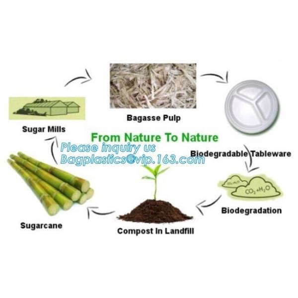 100% Biodegradable, 100% Compostable PLA Drinking Straws pla biodegradable drinking straw wholesale,Corn Starch Biodegra