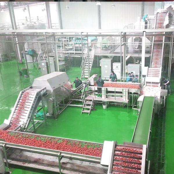 Industrial Fruit Processing Equipment Automatic Fruit Washing conveyor
