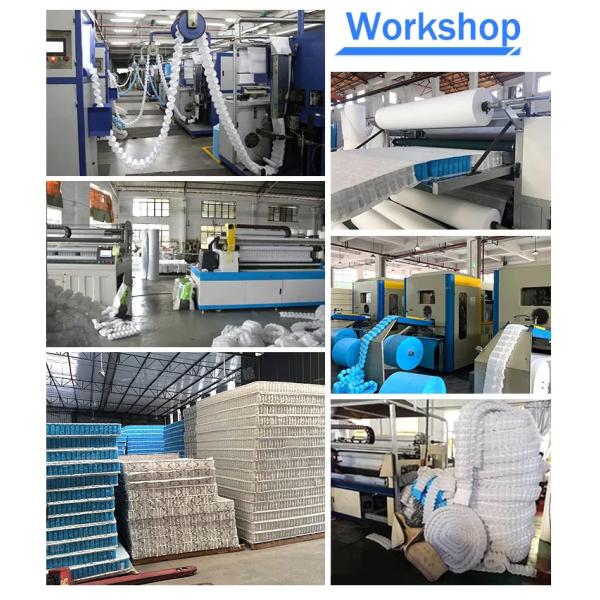 Micro Fabric Pocket Spring Coil Unit For Slient Sleeping Massage Mattress