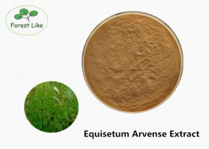 China Fine Size Plant Herbal Extract Powder Natural Equisetum Arvense Extract on sale