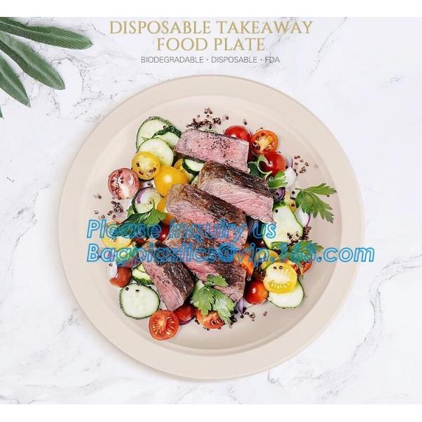 100% Biodegradable, 100% Compostable PLA Drinking Straws pla biodegradable drinking straw wholesale,Corn Starch Biodegra