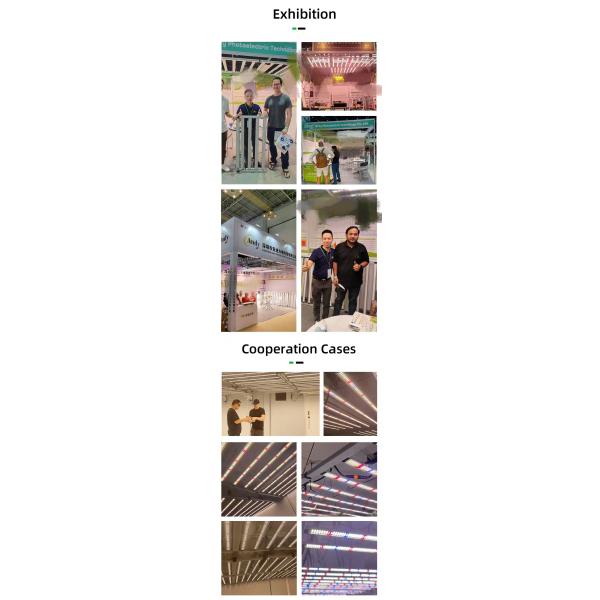 Super Bright 3 Foot Grow Light 90cm 4ft 120cm Japanese LED Light Tube 24W 36W T8