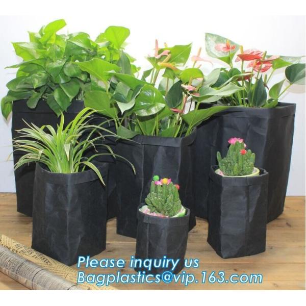 Soft Envelope Tyvek Clutch Bag, Dupont Cosmetic Makeup Bag with Handle Waterproof Creative Dupont Paper Tyvek Clutch Pur