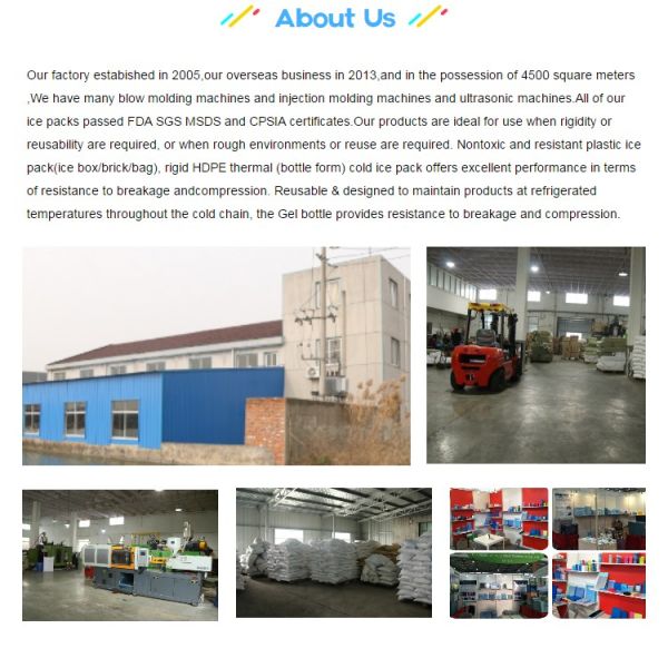 Food Grade Cooler Ice Blocks 6 Pack For Soda Beers And Cans FDA SGS Listed