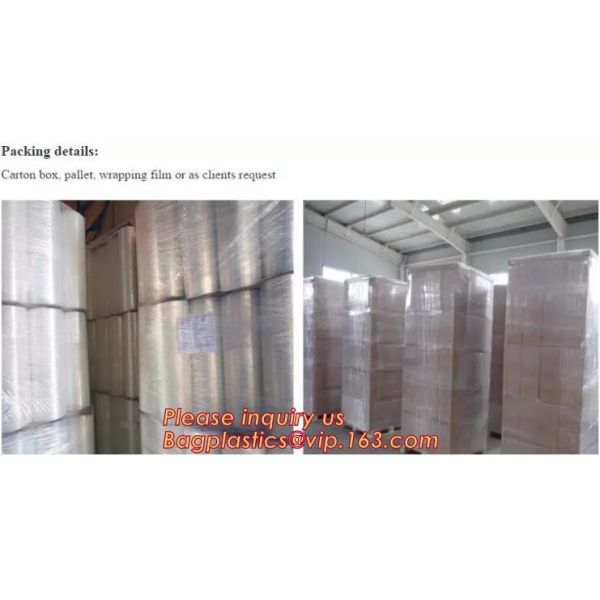 Outdoor Bubble Solar Pool Cover Swimming Pool Winter Polycarbonate Solar Swimming