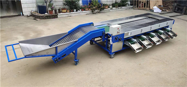 potato grading machine,potato sorting machine,potato sorter