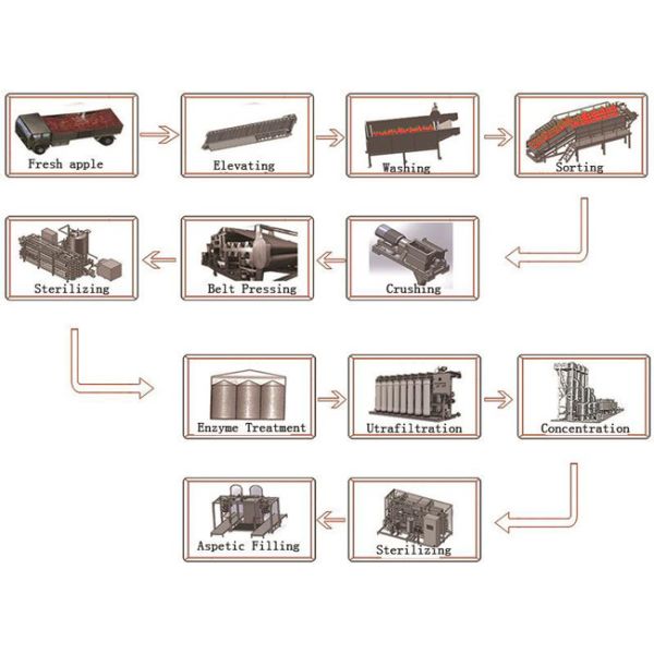 Apple Processing Equipment / Fruit And Vegetable Processing Machinery PET Bottle Package