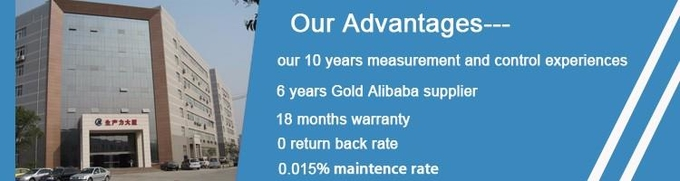 Mass Flowmeter-Cheese Production and Processing Metering Equipment