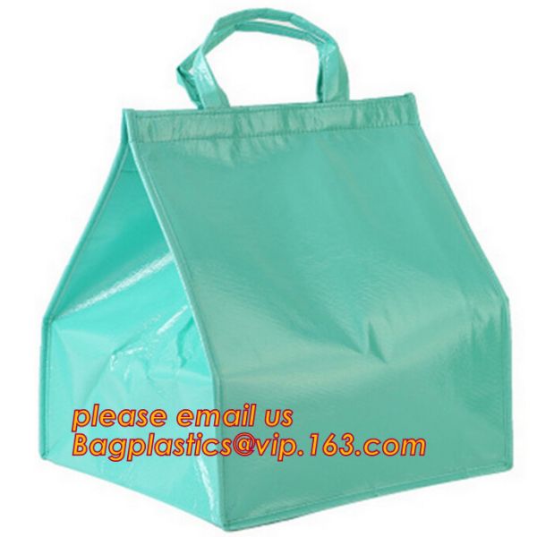 Freezer Bags Color Cold Insulation Waterproof Convenient Portable Ice Meal Packages Refrigerator Cooler Lunch Bag bageas