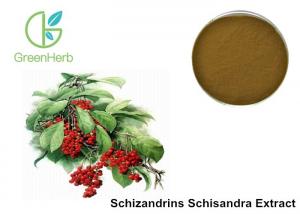 Cheap Enhance Liver Detoxification Fruit Extract Powder 9% Schisandra Chinensis Extract for sale