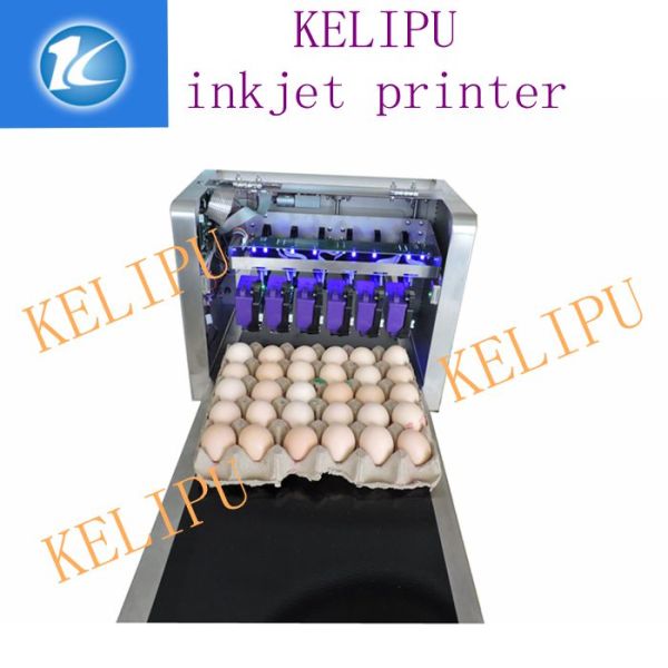 Poultry Agriculture Egg Marking Equipment , Batch Code Printing Machine For Eggs